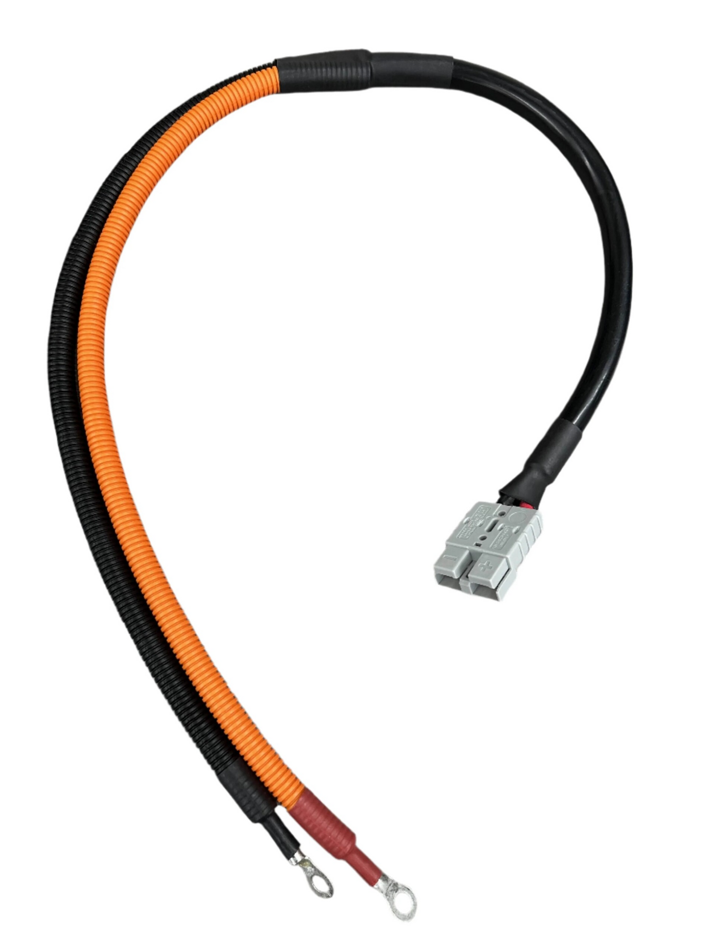 Epoch Batteries 12V 50A Battery Charger