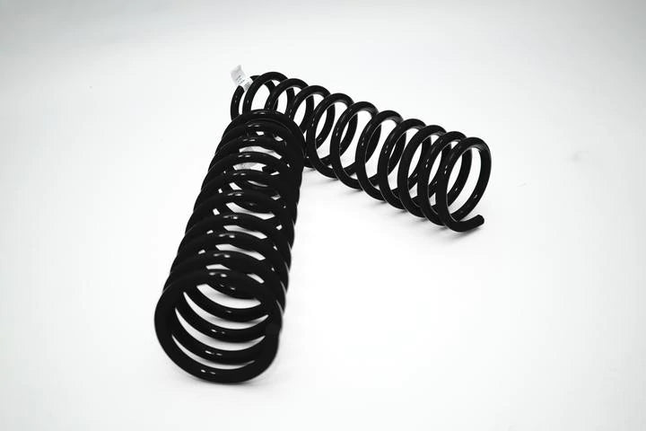 DOBINSONS FRONT COIL SPRINGS