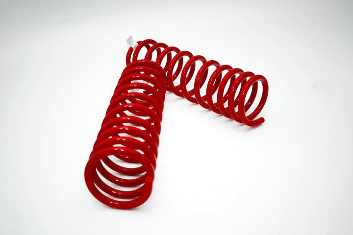 DOBINSONS FRONT COIL SPRINGS