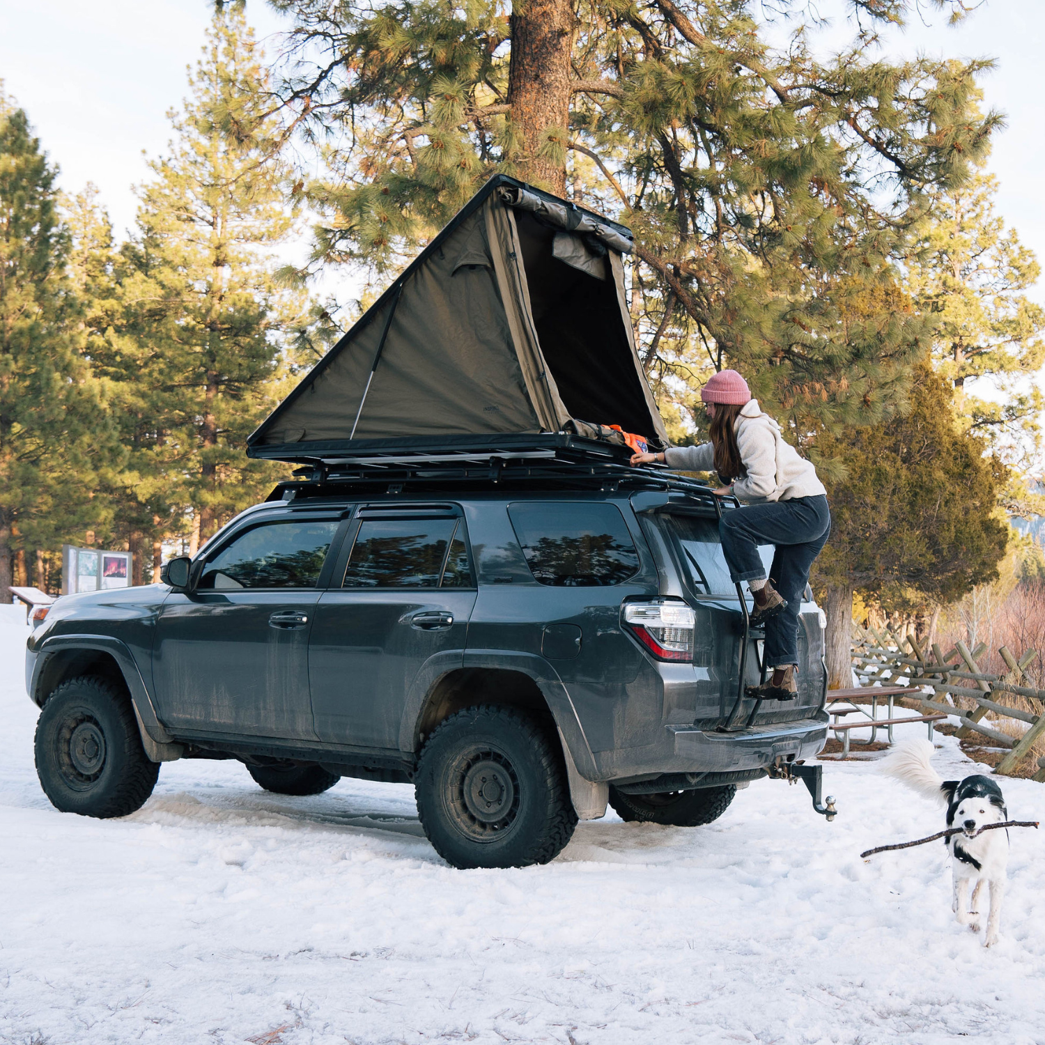 Alpha Tent Tent On Top Of 4runner Runner Roof Top Tent 4th Gen