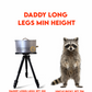NEW! Daddy Long Legs: Cook and Campfire at Waist High!