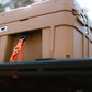 Sherpa Roam Case and Cooler Tie Downs