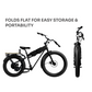 JackRabbit MG Cargo - Lightweight Cargo Electric Bike, Black